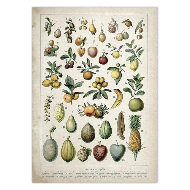 Witch Botanical Posters